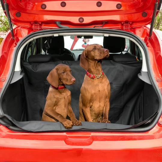 Hundedecke Auto Abdeckung für Hunde. Schondecke mit Seitenschutz 135 x 130  cm - Cablematic