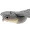 Vogelscheuche fliegender Falke Figur 54x35 cm