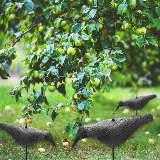Statua spaventapasseri de corvo nel moto per il giardino