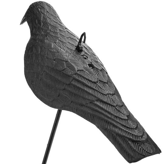 Statua spaventapasseri de corvo nel moto per il giardino