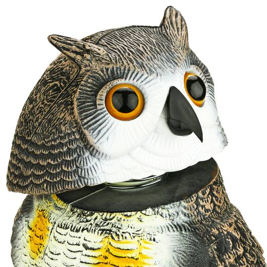 Vogel afstoter uil standbeeld type met geluid 40cm mannelijk