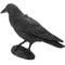 Repelente de pássaros tipo estátua corvo em pé 16 x 45 cm