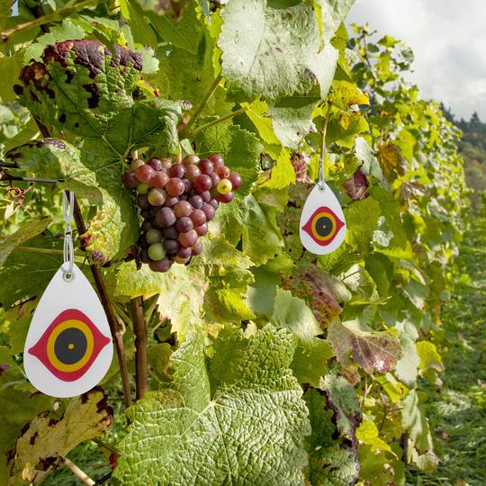Dischi riflettenti repellenti di uccelli Repeller dell'uccello spaventapasseri 5-pack