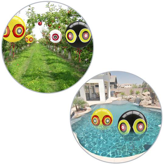 Bird repellent ballon with reflecting scary eyes Bird repeller Scarecrow ball 50 cm 3-pack
