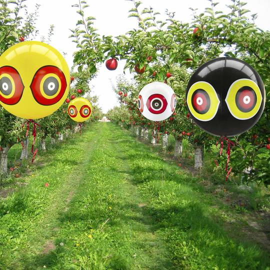 Bird repellent ballon with reflecting scary eyes Bird repeller Scarecrow ball 50 cm 3-pack