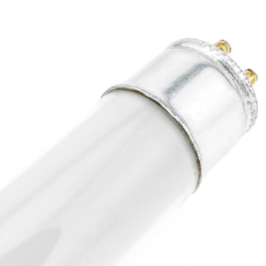Tubo fluorescente para matamoscas y mosquitos eléctrico UV T5 8W BL 286mm