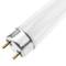 Fluorescerende buis voor vliegenmeppers en muggen UV T8 15W BL 436mm