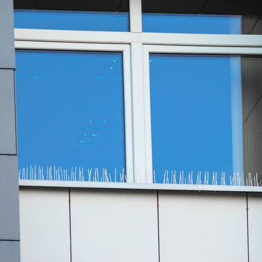 1 meter stalen vogelverschrikkende spikes