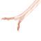 Cavo altoparlante 2x1.5mm2 100 m trasparente Lanberg SC-2X15-10CC-1000-TR