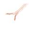 Cavo altoparlante 2x1.5mm2 100 m trasparente Lanberg SC-2X15-10CC-1000-TR