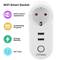 Smart Plug 16A 3680W WiFi  White mit zwei USB-Anschlüssen, die mit Google Home, Alexa und IFTTT kompatibel sind