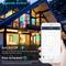 Presa intelligente 16A WiFi da esterno IP55 compatibile con Google Home, Alexa e IFTTT