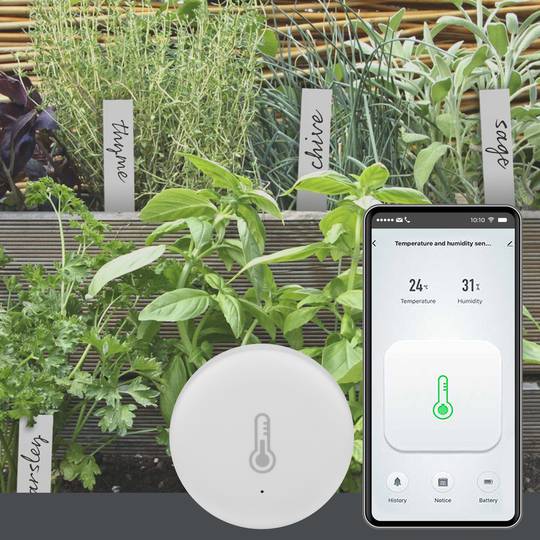 Capteur d'humidité et de température connecté Tuya, Wifi, pour maison  connectée, pour intérieur et extérieur, avec hygromètre et thermomètre,  compatible avec Alexa et Google Home
