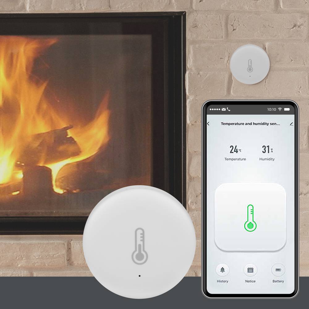 Capteur d'humidité de température intelligent WiFi Compatible avec Alexa  Google Assistant Hygromètre numérique sans fil à très longue portée 230  pieds