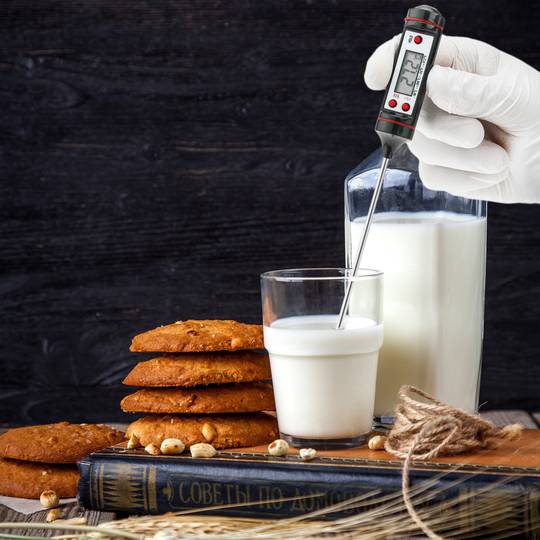Termometro digitale con sonda rigida per cucina e cibo DW-0213