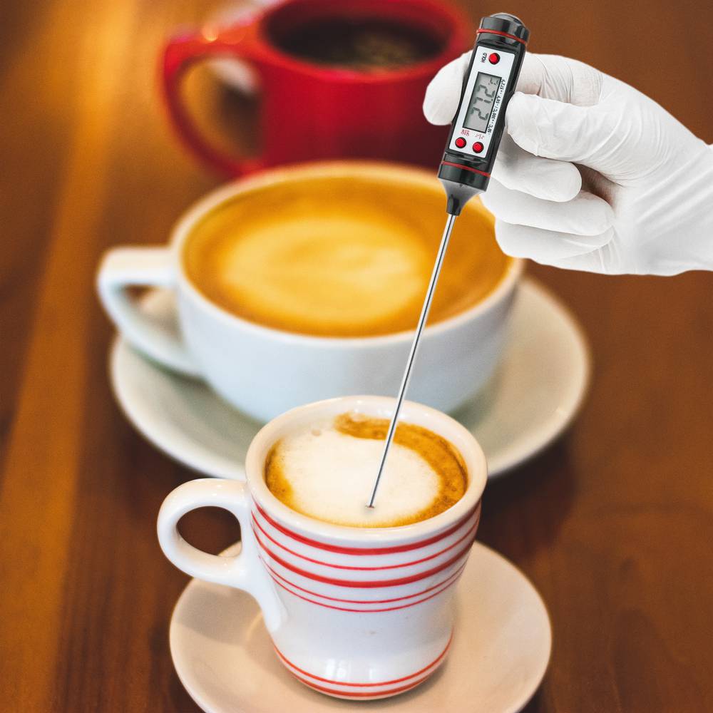 Termometro digitale con sonda rigida per cucina e cibo DW-0213