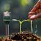 Analog humidity and PH meter with rigid probes for gardening and plants