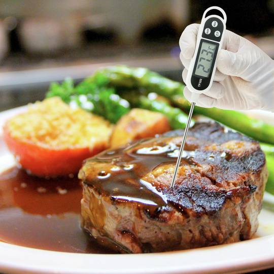 Digita Thermometer mit starrer Sonde für Küche und Lebensmittel DW-0211 -  Cablematic