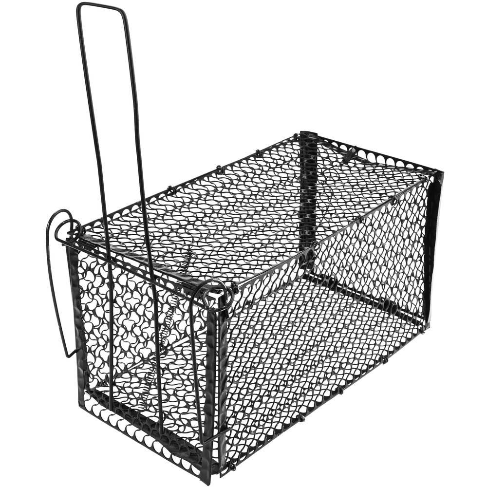 Trampa per rates ratolins rosegadors gàbia metàl·lica 145 x 276 x 145 mm