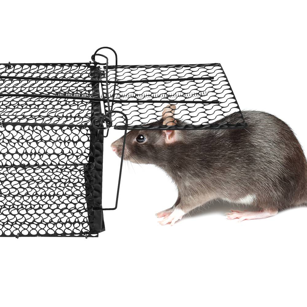 Trampa per rates ratolins rosegadors gàbia metàl·lica 145 x 276 x 145 mm