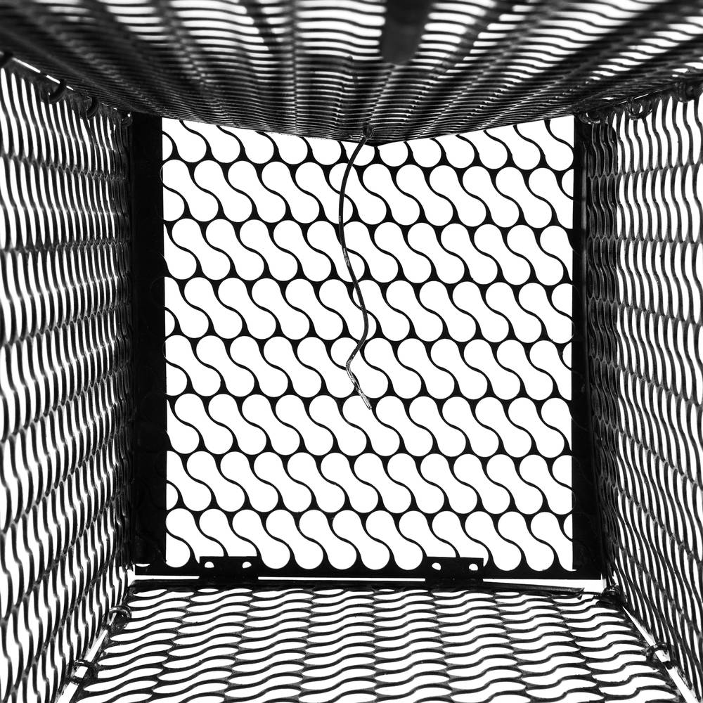 Trampa per rates ratolins rosegadors gàbia metàl·lica 145 x 276 x 145 mm