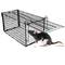Trampa per rates ratolins rosegadors gàbia metàl·lica 145 x 276 x 145 mm
