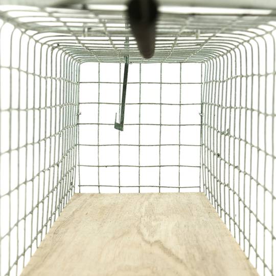 Armadilha para ratos camundongos roedores gaiola de metal 94 x 240 x 90 mm