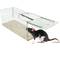 Armadilha para ratos camundongos roedores gaiola de metal 94 x 240 x 90 mm