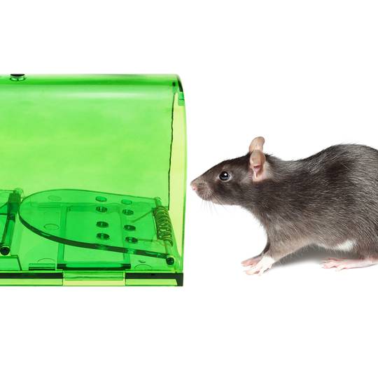 para ratas ratones roedores de pack de 2 unidades 60 x 170 x 64 mm - Cablematic