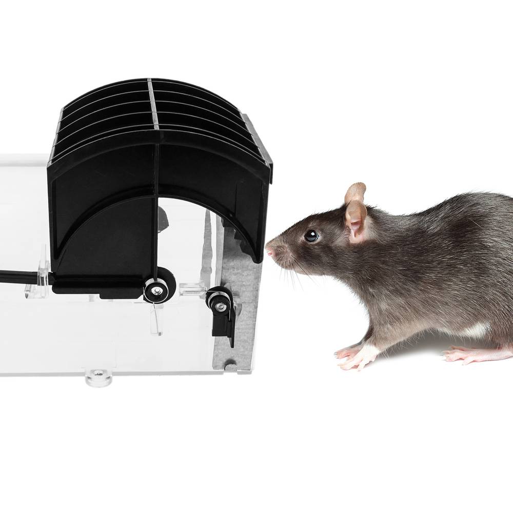 Pułapka na szczury myszy gryzonie plastikowy koszyk 78 x 315 x 71 mm