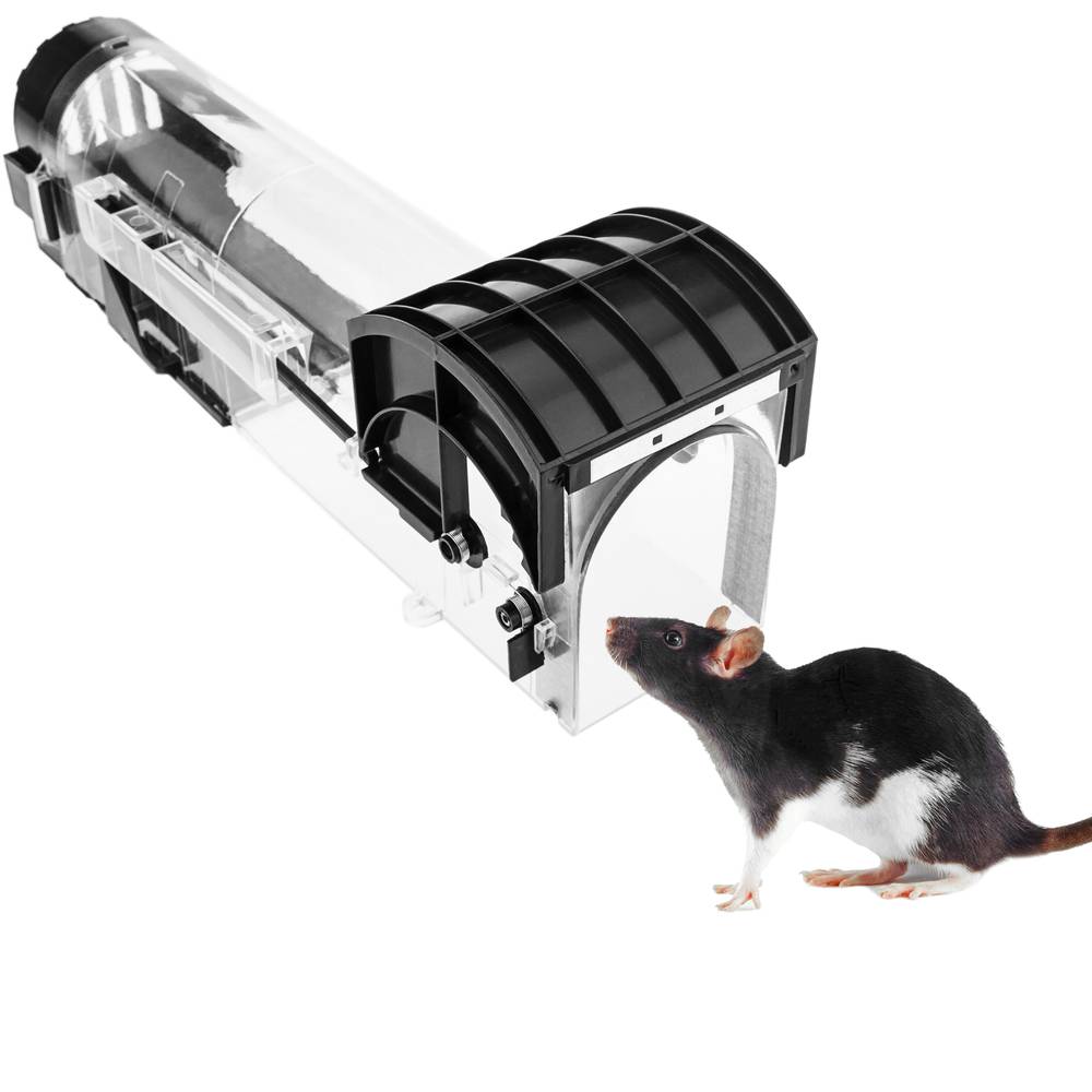 Pułapka na szczury myszy gryzonie plastikowy koszyk 78 x 315 x 71 mm