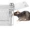 Trappola per ratti topi roditori gabbia metallica 145 x 276 x 110 mm