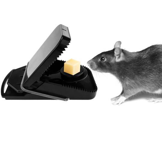 Ouell - Mini potente trampa para ratones, trampa reutilizable para ratones,  trampas para ratones, sin contacto humano, trampas para ratas, trampas