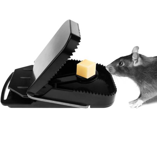 Armadilha para ratos e grandes roedores clipe de plástico 91 x 192 x 85 mm