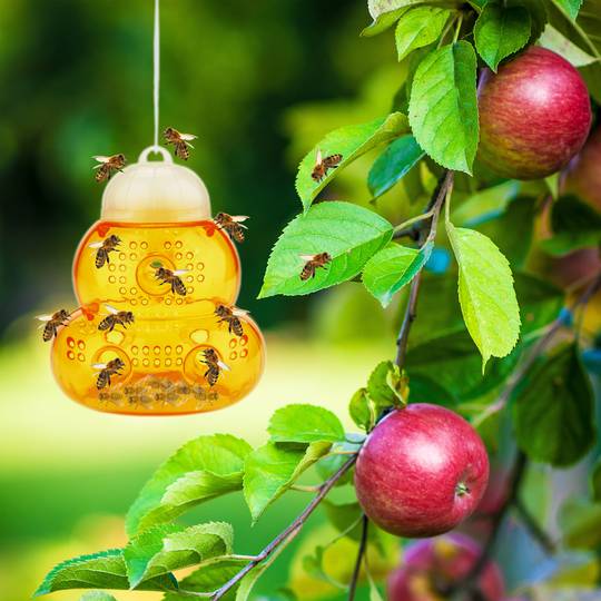 Armadilha para pegar vespas abelhas moscas na forma de uma colmeia