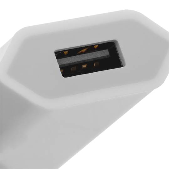 220 VAC USB-voeding naar USB A Vrouwelijke connector 5VDC 1A en 5W 1 poort Wit
