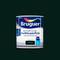 Glossy acrylic enamel for wood and metal with a green finish 0.75L Bruguer 5057561