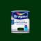 Multi-surface acrylic enamel with May green finish 0.75L Bruguer 5057557
