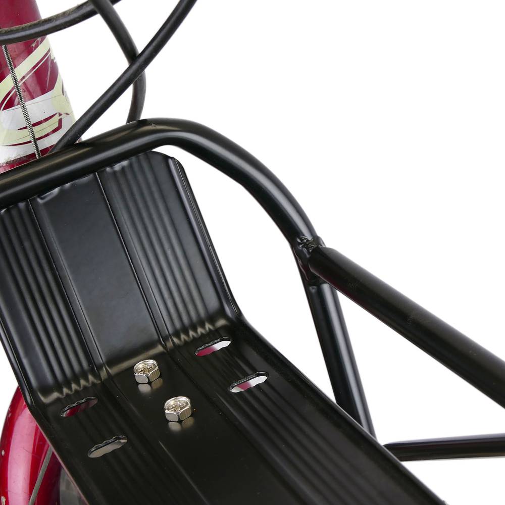 Luggage carrier of metallic structure for bicycle frontal