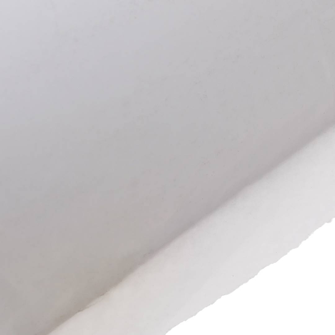 Bobine rouleau papier thermique pour imprimante TPE et caisse enregistreuse 76x76mm 5 unités