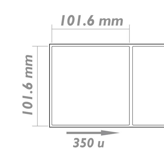 Rotoli bobina 350 etichettes adesive per stampante termica diretta 101.6x101.6mm 20 unità