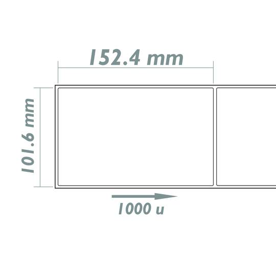 Thermal roll label with 1000 labels for thermal transfer printer 101.6x152.4mm 8 units
