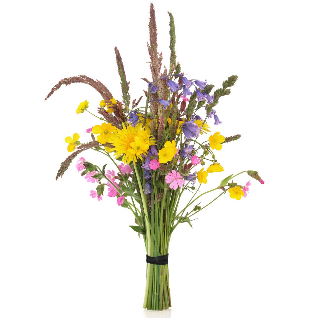 Coil Twist Ties schwarze Kabel (30m)