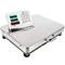 Bilancia industriale con piattaforma di 52x42 cm in acciaio inox e portatile da 300 kg