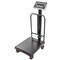 Balança industrial de plataforma 30x40 cm bàscula 100 Kg amb rodes