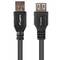 Black Box Lanberg USB-A-Stecker/Buchse 2.0-Kabel 1 m CA-USBE-15CU-0010-BK