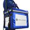 Isotherme Tasche 44 x 39 x 34 cm blau für Grillabende und Lieferung von Lebensmittelbestellungen