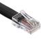 Cabo RJ48-M/M (10P10C) 2m