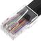 Cabo RJ48-M/M (10P10C) 2m