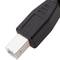 Zwarte USB A Male naar USB B Male Printerkabel 5m